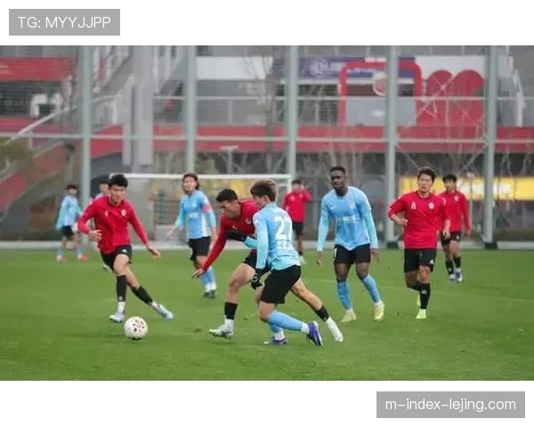 大连英博毛伟杰葛彭留队，阵容更迭中老臣的战术价值与传承